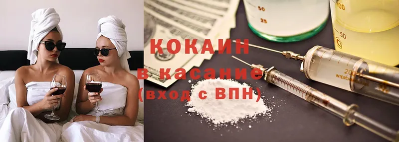 продажа наркотиков  Славгород  COCAIN FishScale 